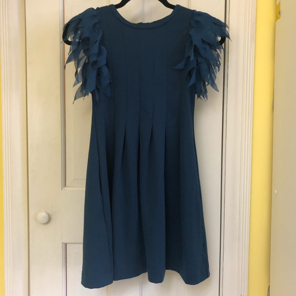 Blue Dress with Feathery Sleeves